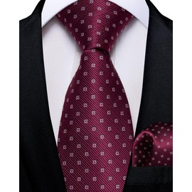 DiBanGu Adjustable Burgundy Plaid Boys Tie Silk Kids Red Pre-Tied Necktie and Pocket Square Set for Age 8-14 Wedding Party Graduation Ceremony