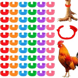 JEYORZY Pack of 60 Poultry Foot Rings, Chicken Leg Rings, Poultry Bands, Chicken Leg Rings Clip, Poultry Foot Rings, Identification Leg Bands for Chickens, Geese and Farm (5 Colours)