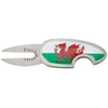 Asbri Golf Pitchmaster Blister Pack Pitch Repairer - Wales