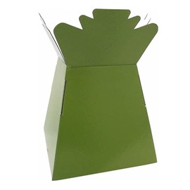 Inerra Florist Boxes Living Vases for Flowers and Bouquet Box Making - Pack of 5 (Olive)
