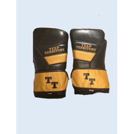 TT Boxing/Muay Thai Gloves- 16oz Black & Gold