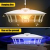 2 Pack Flea Trap Light for Indoor & Outdoor Use,