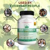 Vertigenics Max – Brain & Focus Support Supplement – Extra