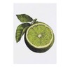 'Lime Wedge' Temporary Tattoo - Water Resistant, Skin-Safe, Non-Toxic Transfer