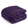 Bedsure Bedsure Purple Twin Blanket for Bed - GentleSoft Cozy