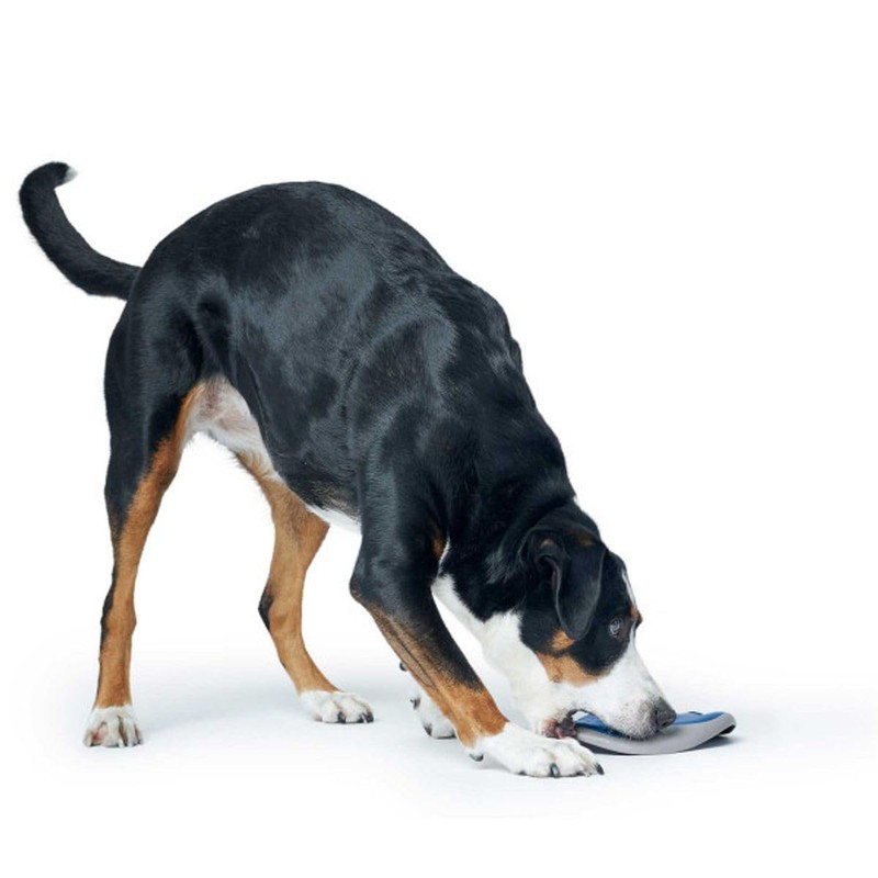 HUNTER Hundespielzeug Sansibar Morsum Frisbee blau/grau, 22 cm