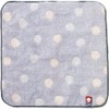 Imabari Towel IBT-301-BL Handkerchief Towel, Mini Handkerchief, Gift, Mini Towel,
