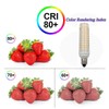 Edearkar 15W E11 LED Bulb Dimmable 136LEDs 150W Halogen Bulbs