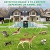 Solar Animal Repeller. Ultrasonic Animal Repellent. with Flashing LED Light