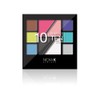 NICKA K Eyeshadow Perfect 10 Colors - AP022