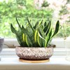ARTKETTY Succulent Pots - 7.5 Inch Large Plant Pot with