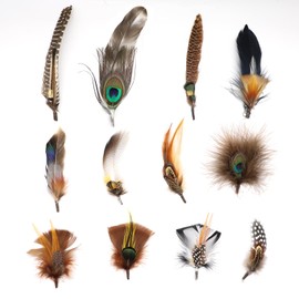 LWINGFLYER 12PCS Hat Feathers for Fedora Cowboy Hats Oktoberfest Trilby Hats Men Women Costume Accessories DIY Crafts Christmas Party Decoration