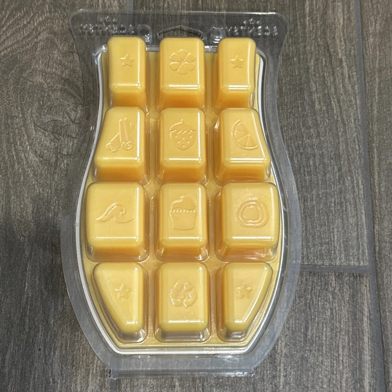 Scentsy ~ DUMBO SOAR HIGH THROUGH THE SKY ~ Wax