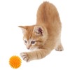 PLATZ PET SUPPLIES & FUN Cat Toy Cat Toy Fuzzy