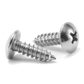 #8 x 5/8" Wood Screw 100Pcs Truss Head Phillips 18-8 (304) Stainless Steel Fast Self Tapping Screws by SG TZH