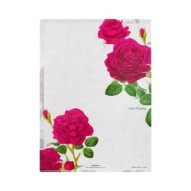 FRONTIA Plastic Documents File Folder, saint exupéry, Clear Pockets Plastic Sleeves, A4 (6 Packs, Bulk Pack)