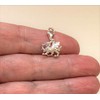 Katy Craig Dragon Welsh Charm - 925 Sterling Silver (Clip
