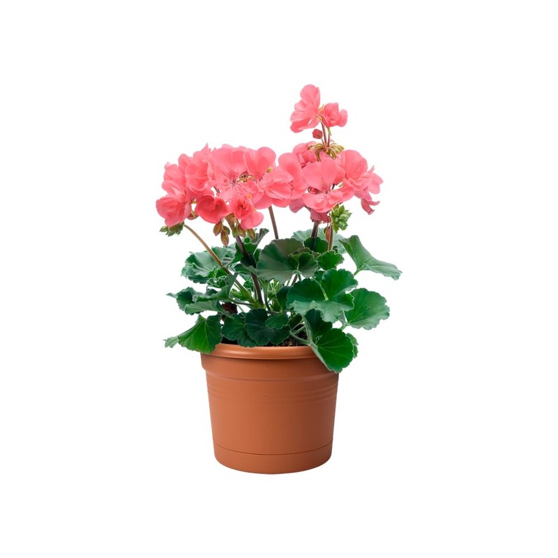 Elho Green Basics Potholder Allin1 Metal Planter, Mild Terra, 27