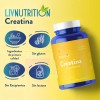 Suplemento En Cápsula Liv Nutrition Suplementos Creatina Monohidratado En Pote