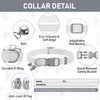 GAMUDA Small Pet Harness Collar and Leash Set, Step in