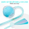 PLITTPETTS Interactive Cat Toys Ball for Indoor Cats, 2025 New
