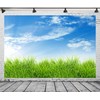Loccor Fabric 9x6ft Blue Sky Backdrop Spring Nature Grass Blue