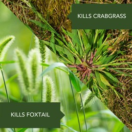 Bayer Advanced 704115A Crabgrass Killer for Lawns, 32 oz, Ready-to-Spray