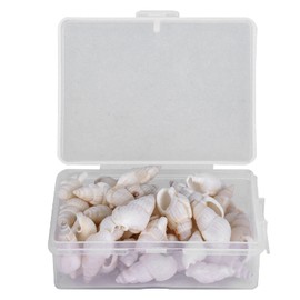 Caracol de mar decoración, caracol de mar buen rendimiento para bricolaje para el hogar