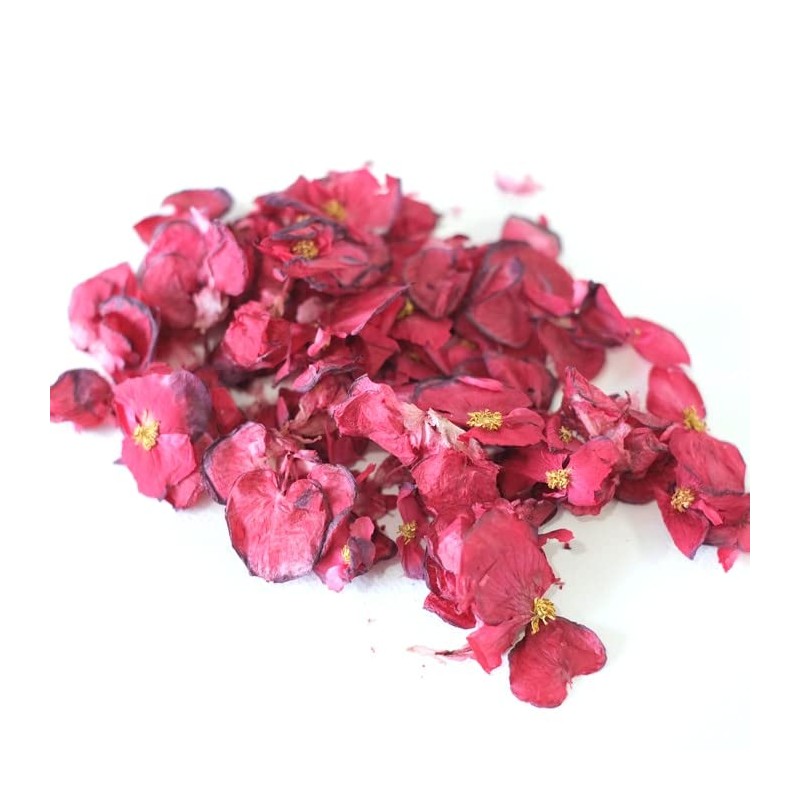 Edible Flower, Dried, Edible Flowers, Domestic, Edible Flowers, Dried, Begonia,