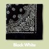 The Peacock Crew Pack of 4 Bandanas in Premium Soft