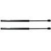 Beneges 2PCs Rear Window Struts Compatible with 2003-2008 Toyota Matrix