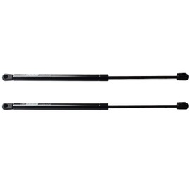 Beneges 2PCs Rear Window Struts Compatible with 2003-2008 Toyota Matrix Window Glass Gas Spring Charged Lift Supports Shocks Dampers SG329022, 4188, 6893002021