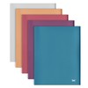 Mr. Pen- Plastic Folders with Pockets and Prong, 5 Pack,