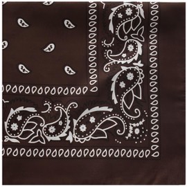 Raylarnia Bandana Multi-Purpose 100% Cotton Headbands for Women, 22 inch Paisley Cowboy Bandanas for Men (Brown)
