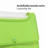 Barrilito Archivador Expandible Carta. 5 separaciones. X4N