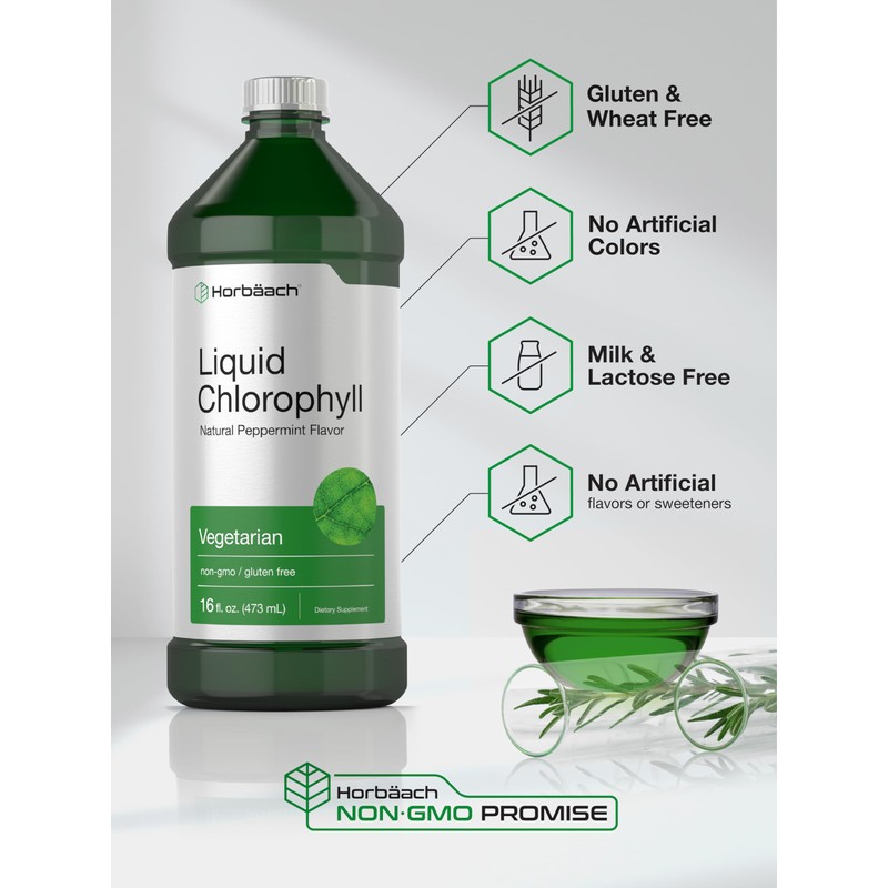 Horbäach Chlorophyll Liquid Drops | 100mg | 32 oz (2