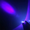 MACHSWON Mini Keychain Torches Flashlight UV Money Checker Key-Chain LED