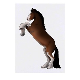 'Rearing Shire Horse' Temporary Tattoo - Water Resistant, Skin-Safe, Non-Toxic Transfer (TO00042864)