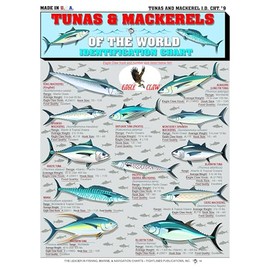 Tunas & Mackerels of The World Fish Identification #9 - Waterproof Quick Reference Guide | Portable & Built to Last | Double-Sided & Easy to Read | (Weight, Location, Hook Size & Food Quality)