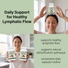 Lymphatic Drainage Support Supplement | Advanced Lymphatic Detox Aid &