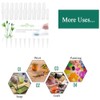CARPEDIEM 100pcs 3ml Graduated Pipettes Disposable Refills Free Research Essential