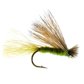 The Fly Fishing Place Olive X Caddis Emerging Caddis Adult Trout Dry Fly - Set of 12 Flies Size 14 - One Dozen