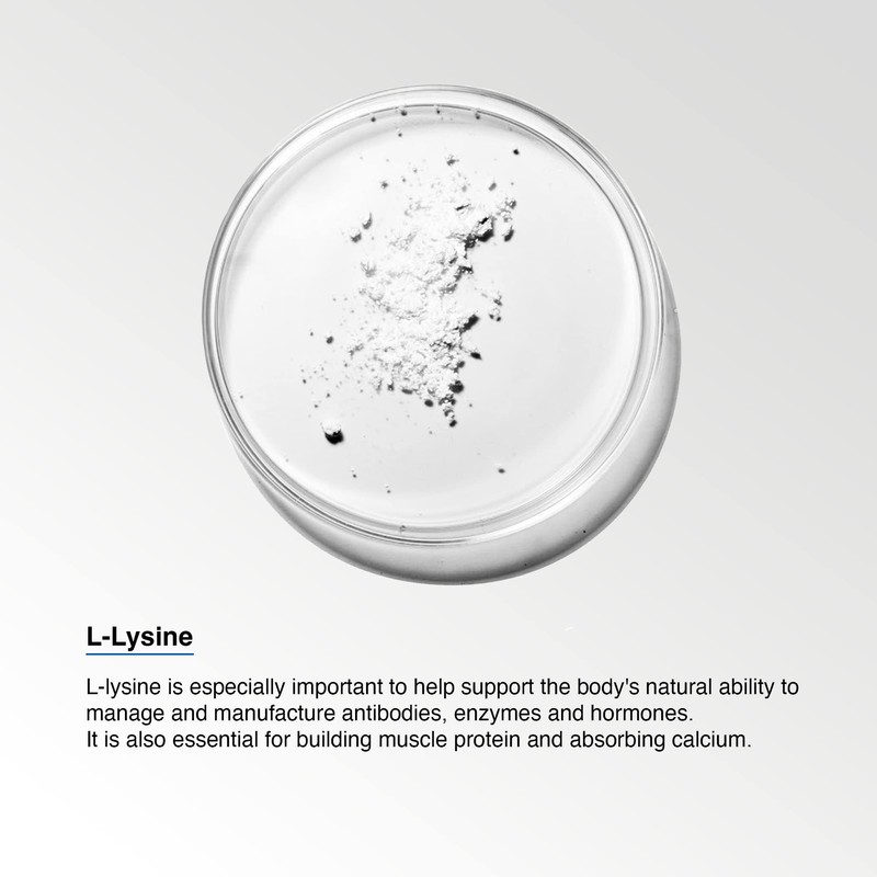 White Label Nutrition L-Lysine Supplement - High Potency - |