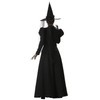 InCharacter Wretched Witch Adult Costume, Small Black
