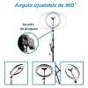 Bluelander Lampara Aro De Luz Led De 10 Pulgadas Con