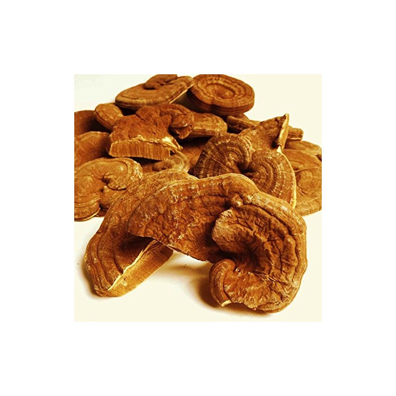 Domestic Outlet Reishi Mushroom, 2.2 lbs (1 kg) (3.5 oz
