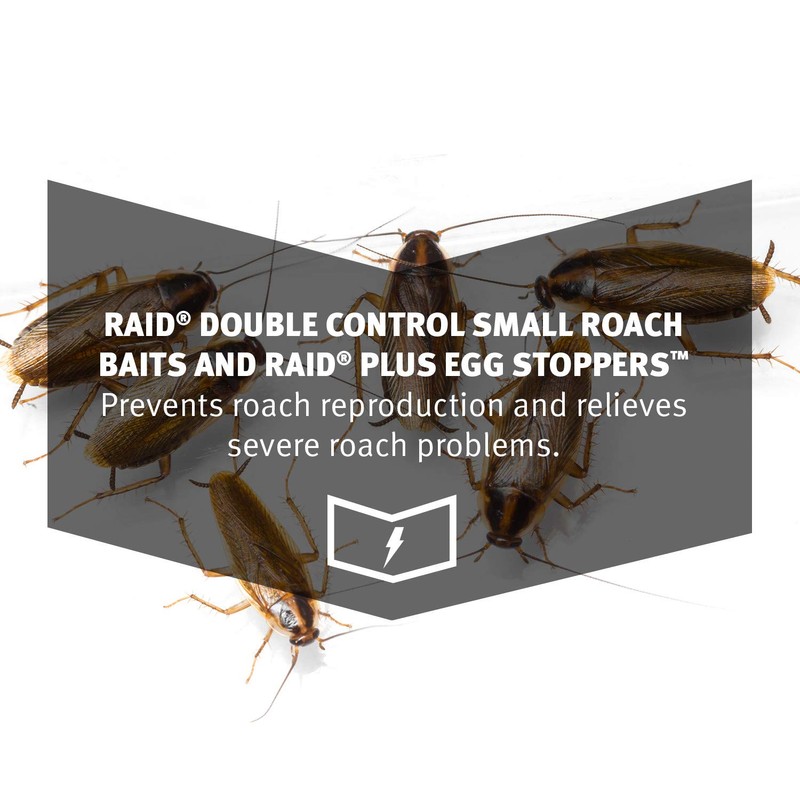 Raid Double Control Small Roach Baits Plus Egg Stopper 12