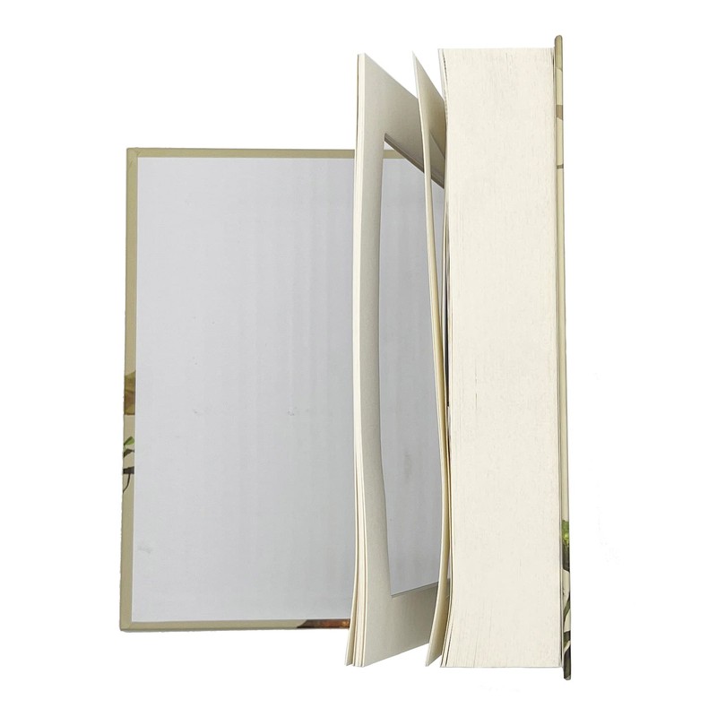 Real Paper Diversion Book Safe Storage Box, Dictionary Secret Safe