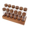Coffee Bean Storage Tubes with Walnut Wood Stand Lid Glass