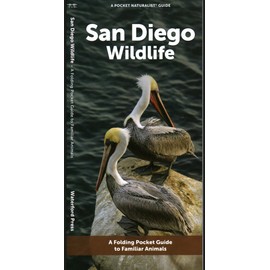 San Diego Wildlife: A Folding Pocket Guide to Familiar Animals (Pocket Naturalist Guide)